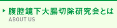 腹腔鏡下大腸切除研究会とは